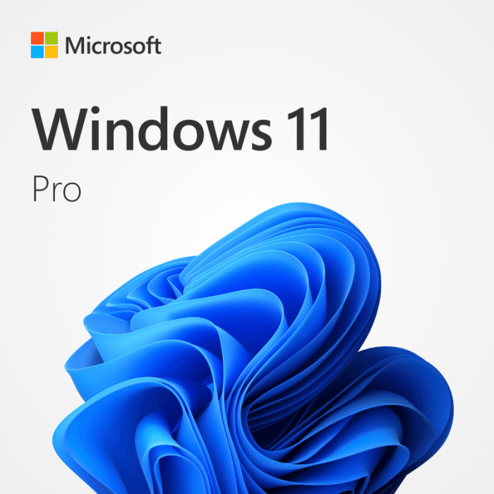 Windows 11 Pro
